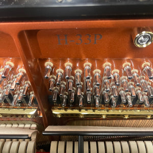Hailun H33P  (52")