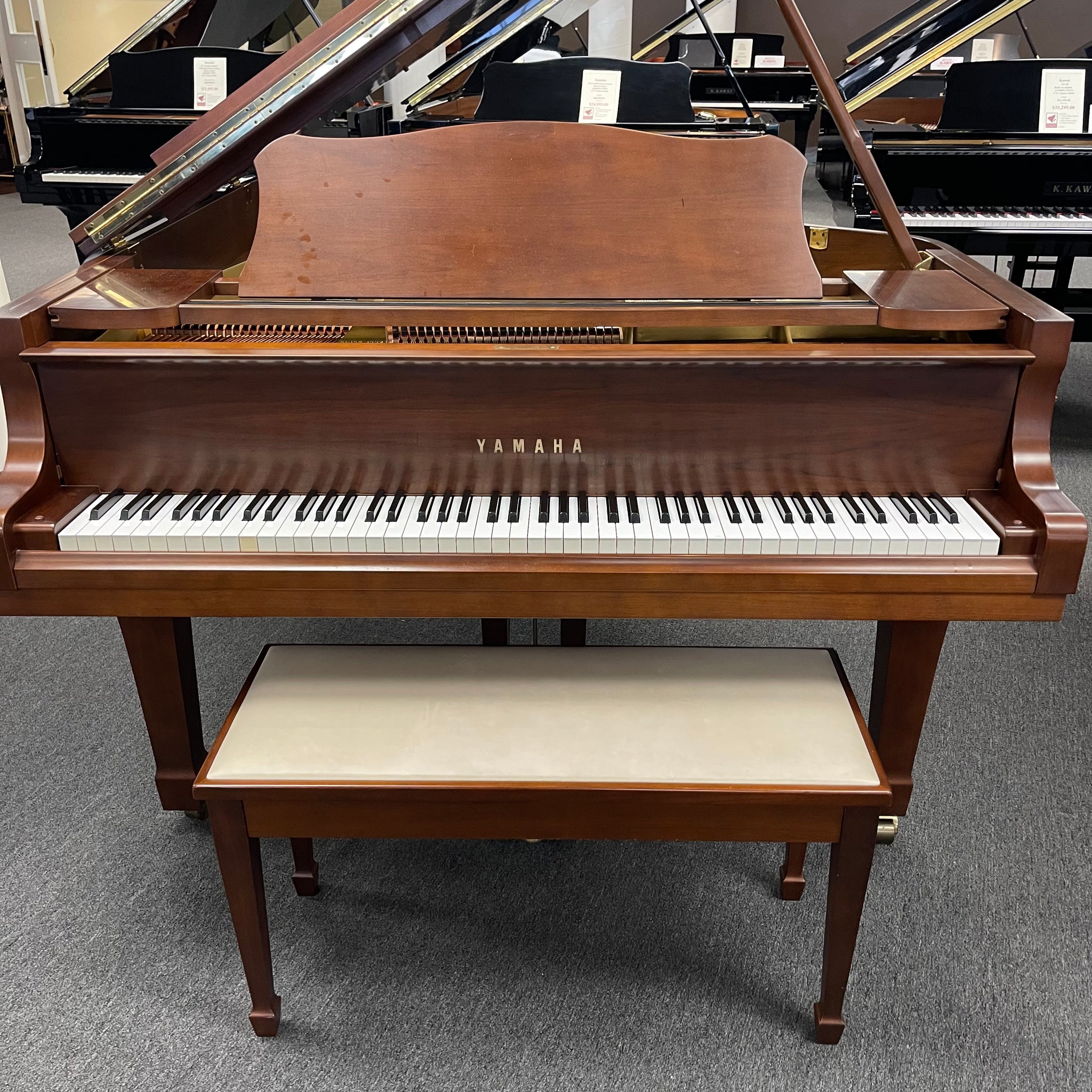 Yamaha C3 (6'1")
