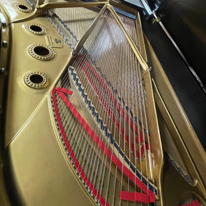 Steinway & Sons Model B (6'10.5")