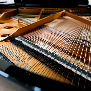 KAWAI GX-2 AURES 2 Hybrid (5'11")