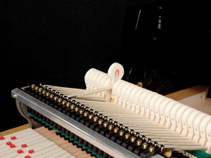 Kawai GL-20 (5'2")