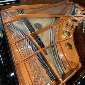 Schimmel C 213 (7'0") - ONLINE INVENTORY Call for Availability