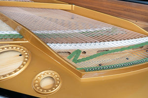 Bechstein B 203 (6'6") - 1908 ONLINE INVENTORY Call for Availability