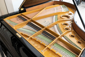 Bechstein B 203 (6'6") - 1908 ONLINE INVENTORY Call for Availability