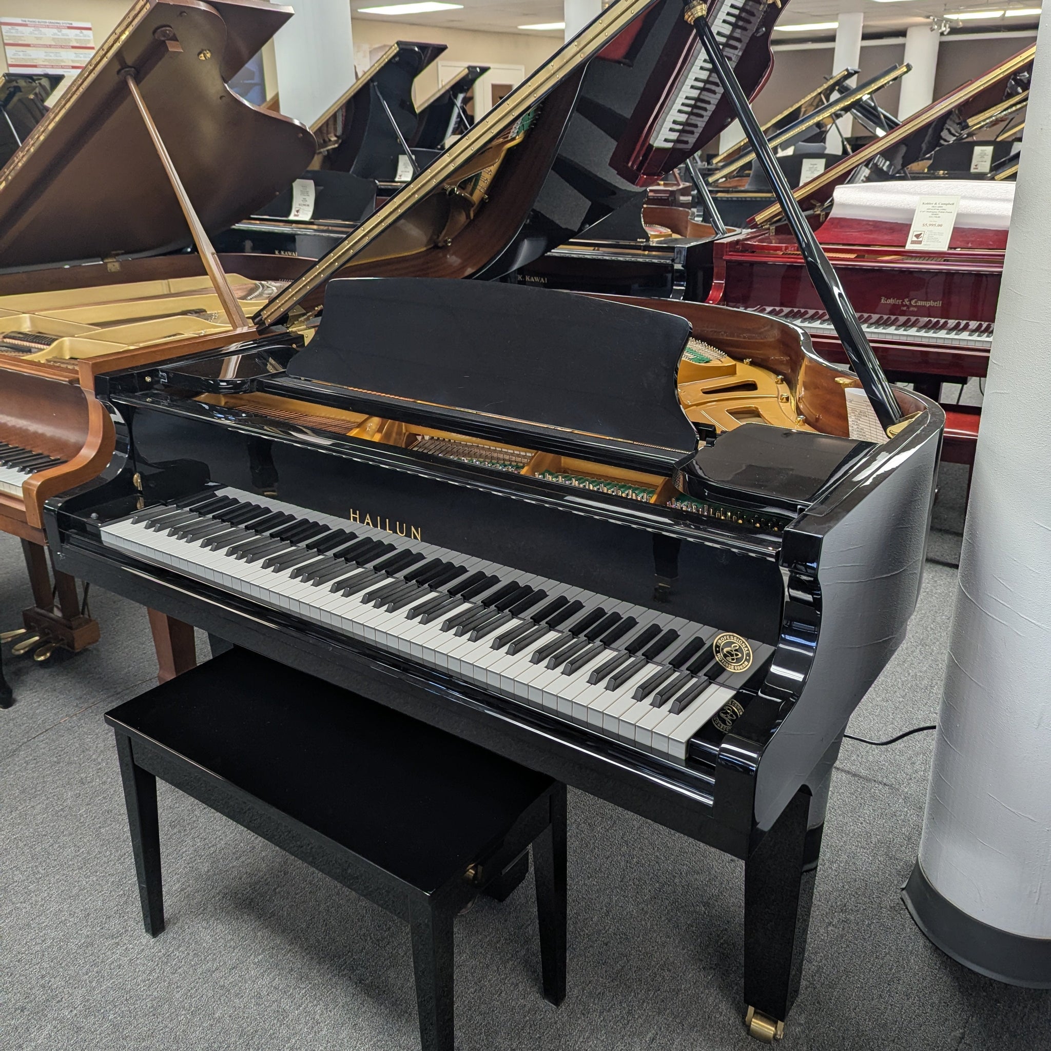 HAILUN HG150SE (5') w/Piano Disc System