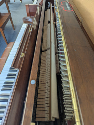 Schafer & Sons VS-42 (42'')