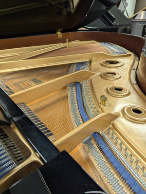 Kawai KG-3C (6')
