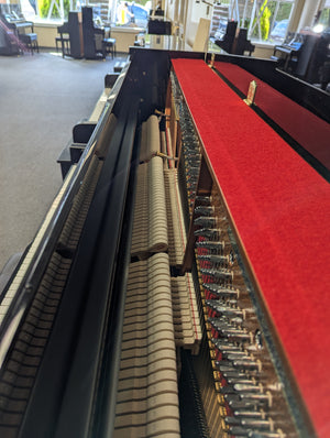 Petrof P121 Discovery (47") (NEW PIANO!!)