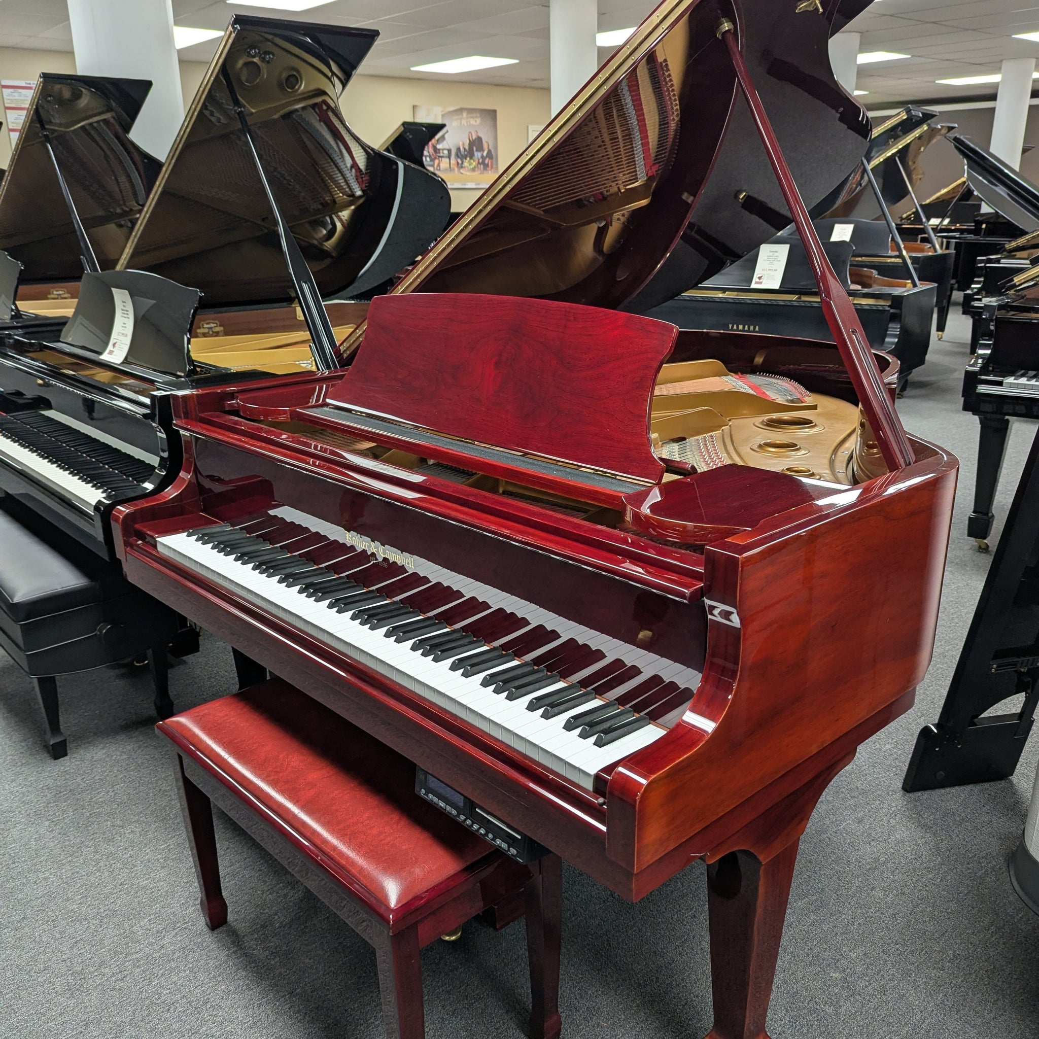 Kohler & Campbell SKG-600 (5'9")