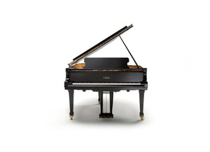 FAZIOLI F183 (6')