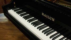 HAILUN HG150 SE Andante (4'9.5")